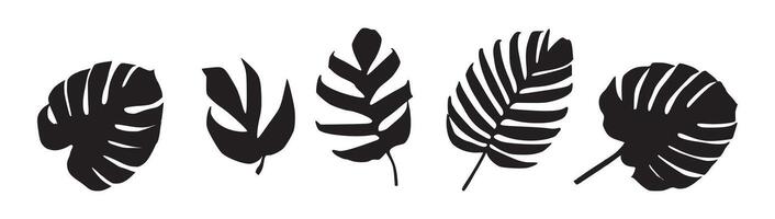 Monstera leaf silhouette tropical design element set vector