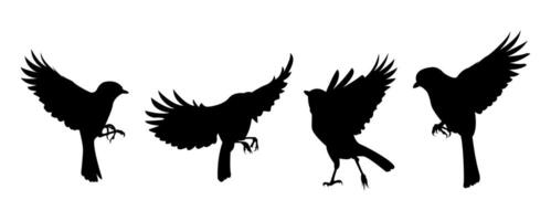 design of a bird silhouette flapping its wings vector