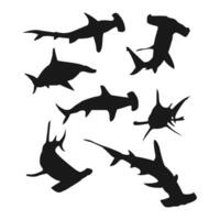 Hammerhead shark silhouette isolated on a white background vector