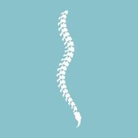 Flat design white spine diagnostic medical icon vector