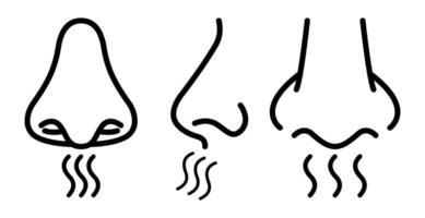 Outline of nose breath symbol on a white background vector