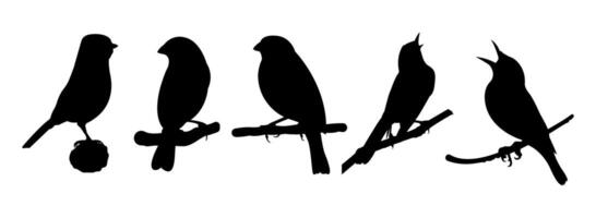 Silhouette of a bird singing while perched on a branch vector