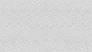 elegant white art pattern design vector