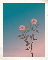 Old photograph of silhouette pink roses with twilight sky background with stained effect graphic illustration have blank space. vector