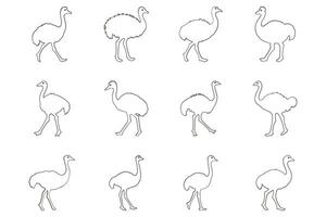 Ostrich Outline Icon Set. Animal Illustration Design vector