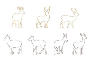 Muntjac Outline Icon Set Design vector