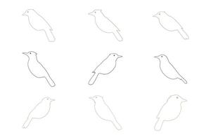 Collection of Magpie Robin Outline Icon Set vector