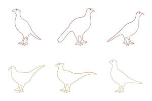 Pheasant Bird Outline Icon Set. Animal Illustration Design vector