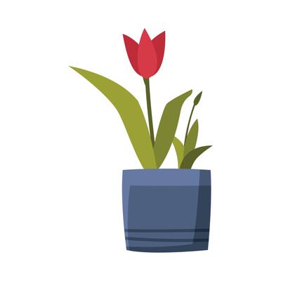 Tulip Flower in Flowerpot Flat Style Illustration on White Background