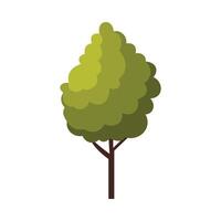 Green Tree, Urban Infrastructure Design Element, Flat Style Illustration on White Background vector