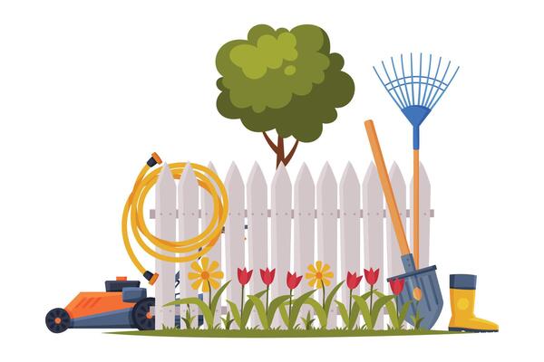 Garden with Agriculture Equipment and Tools, Backyard with Fence and Blooming Tulips Flat Style Illustration on White Background