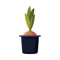 Spring Flower Bulb Growing in Pot Flat Style Illustration on White Background vector