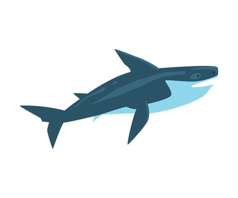 Killer Whale, Marine Life Element, Sea or Ocean Creature Illustration
