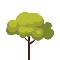 Green Tree, Urban Infrastructure, Summer Landscape Design Element, Flat Style Illustration on White Background vector