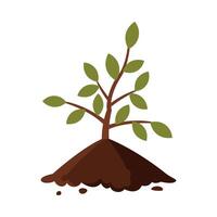 Young Tree Sapling in the Ground Flat Style Illustration on White Background vector