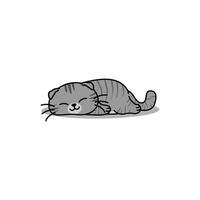 Lazy scottish fold cat sleeping cartoon vector