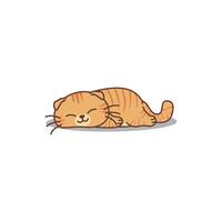 Lazy scottish fold cat orange color sleeping cartoon vector