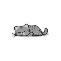 Lazy tabby cat gray color sleeping cartoon vector