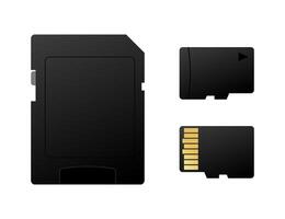 Sd card and micro sd card with adapter showing their front side vector
