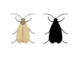 Webbing clothes moth and its silhouette isolated on white background vector