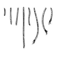 Rope, cable, jute, parts and tails, ends twisted, ornate. Graphic line drawn by hand with black ink, monochrome illustration. Set of isolated objects EPS vector