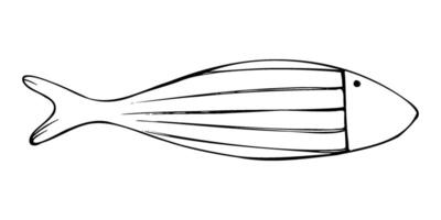 Large elongated fish of simple shape with rustic patterns. Graphic line art hand drawn on theme of sea and fishing in black and white ink. Separate element isolated from the background EPS vector