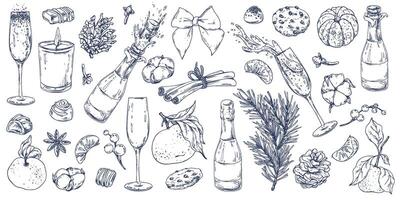 Christmas collection with tangerines, sweets, spices, champagne and plants. Graphic illustration hand drawn in black ink. A set of separate isolated elements of EPS . vector