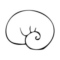 Simple spiral seashells in a simple style. Graphic line art hand drawn on the theme of sea and fishing in black and white ink. Separate element isolated EPS vector
