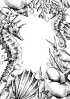 Seahorse, corals, sea sponges, seaweed, shells, starfish and bubbles. Hand drawn graphic illustration in black and white color line art. Frame template vertical for text on marine theme vector