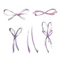 Bows thin small elegant satin simple in lilac and violet shades Watercolor illustration, hand-drawn on the theme of Bows coquettes. Set of elements isolated from the background. vector