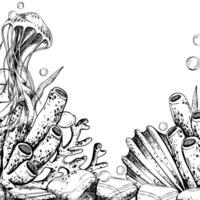 Seahorse, jellyfish, seashell, coral, starfish, sea sponge, algae, pebbles and bubbles. Hand drawn graphic illustration in black, white color line art. Frame template for text on marine theme vector