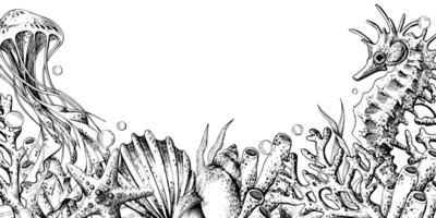Seahorse, jellyfish, seashell, coral, starfish, sea sponge, algae, pebbles and bubbles. Hand drawn graphic illustration in black and white color line art. Frame template horizontal for text on marine vector