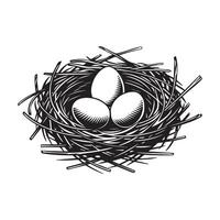 Bird Nest with Three Eggs vector