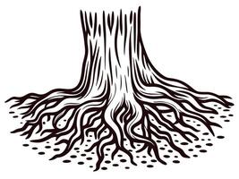 Intricate tree roots with detailed branching patterns on white background vector