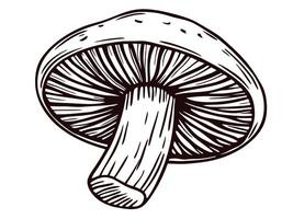 Detailed black and white of a mushroom with intricate lines and textures vector