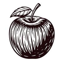 Black and white of a shaded apple with leaf stem in vintage vector