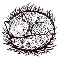 of a sleeping fox in a cozy nest of grass vector