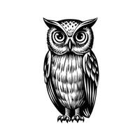 Detailed black and white of an owl with striking eyes and intricate feather patterns vector
