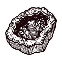 Detailed black and white line art of a geode cross section with intricate crystal structures vector