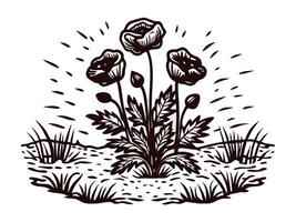 Artistic black and white floral design featuring poppy blossoms in nature setting vector
