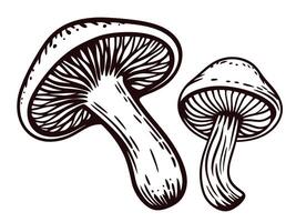 Detailed black and white drawing of two mushrooms with intricate texture and lines vector