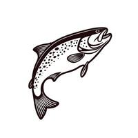 Jumping trout fish with detailed spot patterns on white background vector