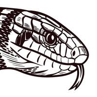 Intricate snake head with detailed scales and textures in monochrome vector