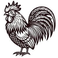 Intricate rooster with detailed feathers and dynamic pose in black and white design vector