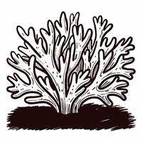 Detailed line art of coral reef plant with intricate branch patterns in black and white vector