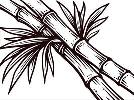Detailed black and white bamboo with leaves focused on natures simplicity vector
