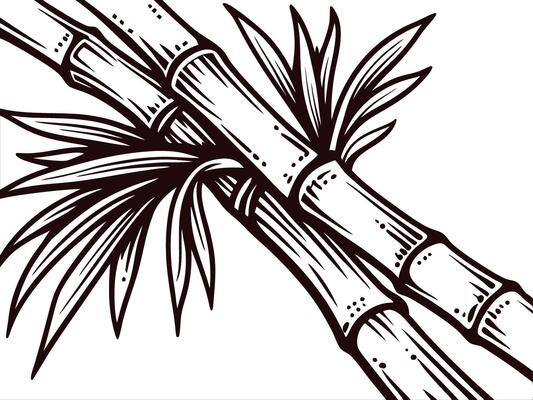 Detailed black and white bamboo with leaves focused on natures simplicity