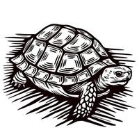 Detailed of turtle with textured shell and patterned body in black and white vector