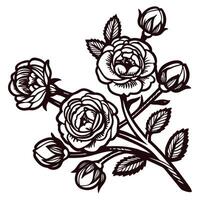Intricate black and white floral design of blooming roses with leaves and buds vector