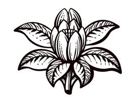 Intricate black and white botanical of a detailed flower with curved leaves vector